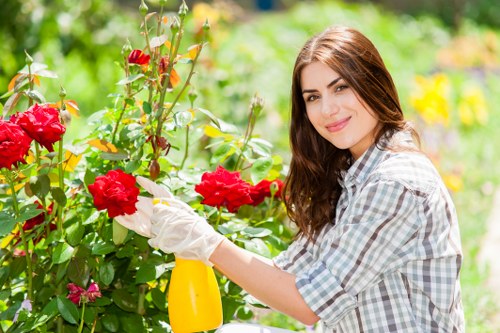 Expert gardener selecting the right tools for hedge trimming